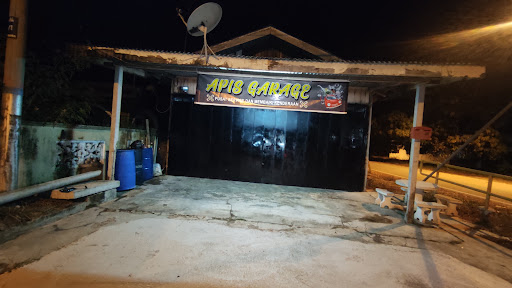Apis garage