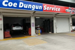 Coe Dungun Service
