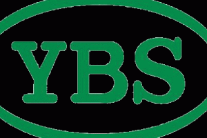 YBS AUTO SDN BHD