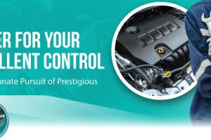 Mocoyo Plus( Supercars Specialist )